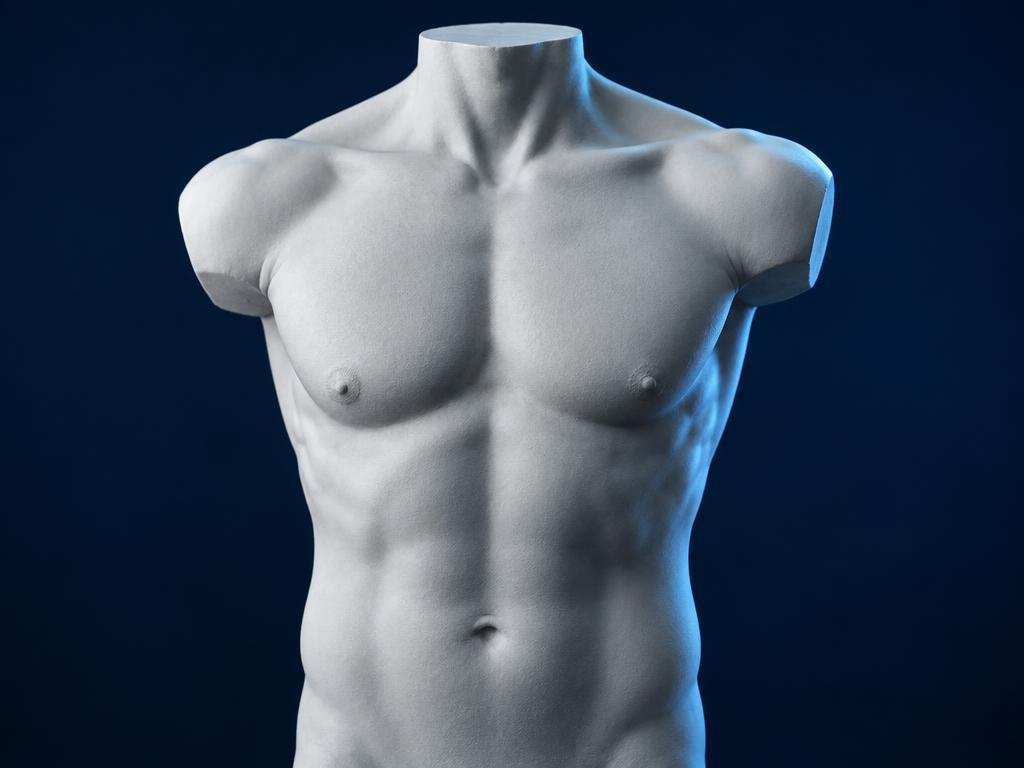 Escultura anatômica masculina em composição clínica azul-marinho, imagem ilustrativa